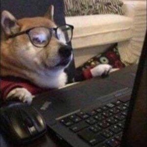 Meet your Posher, Kurt